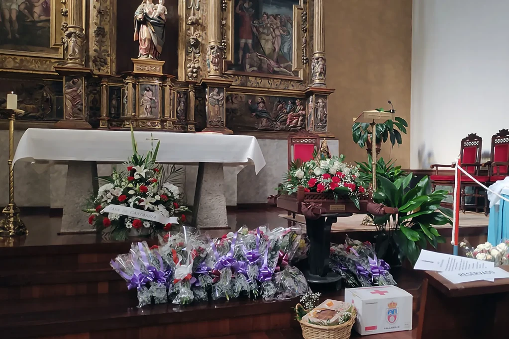 Imagen 14