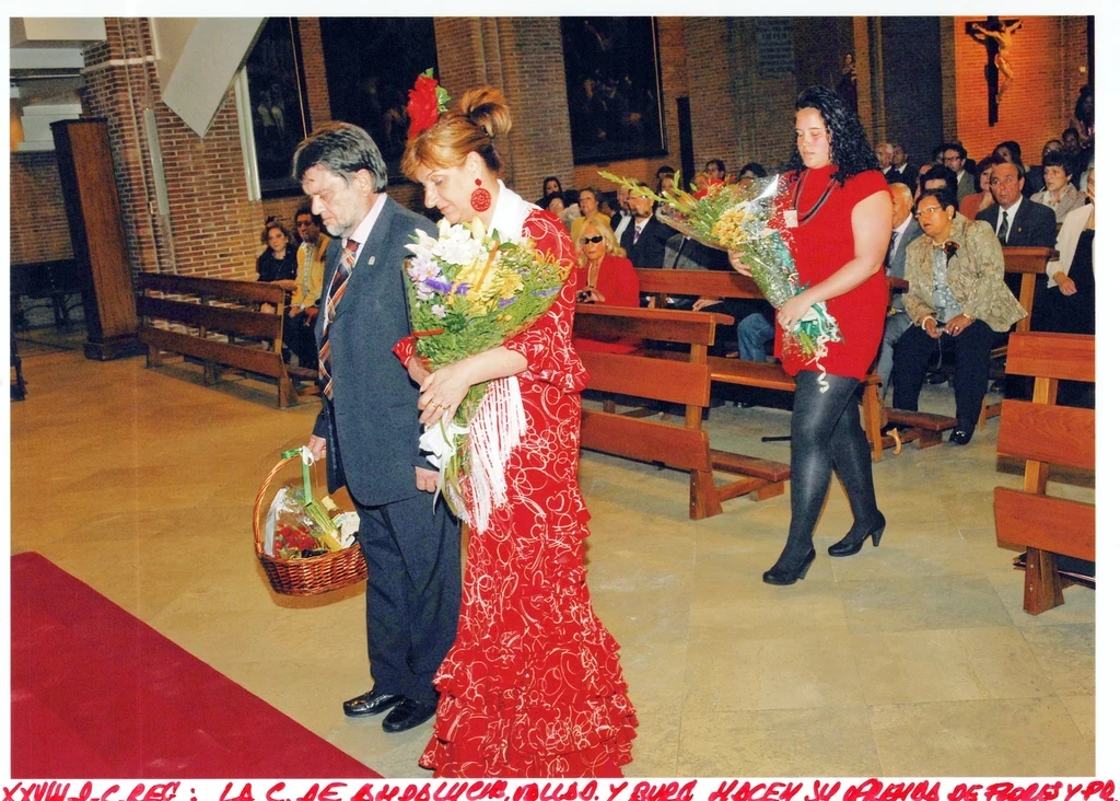 Imagen 7