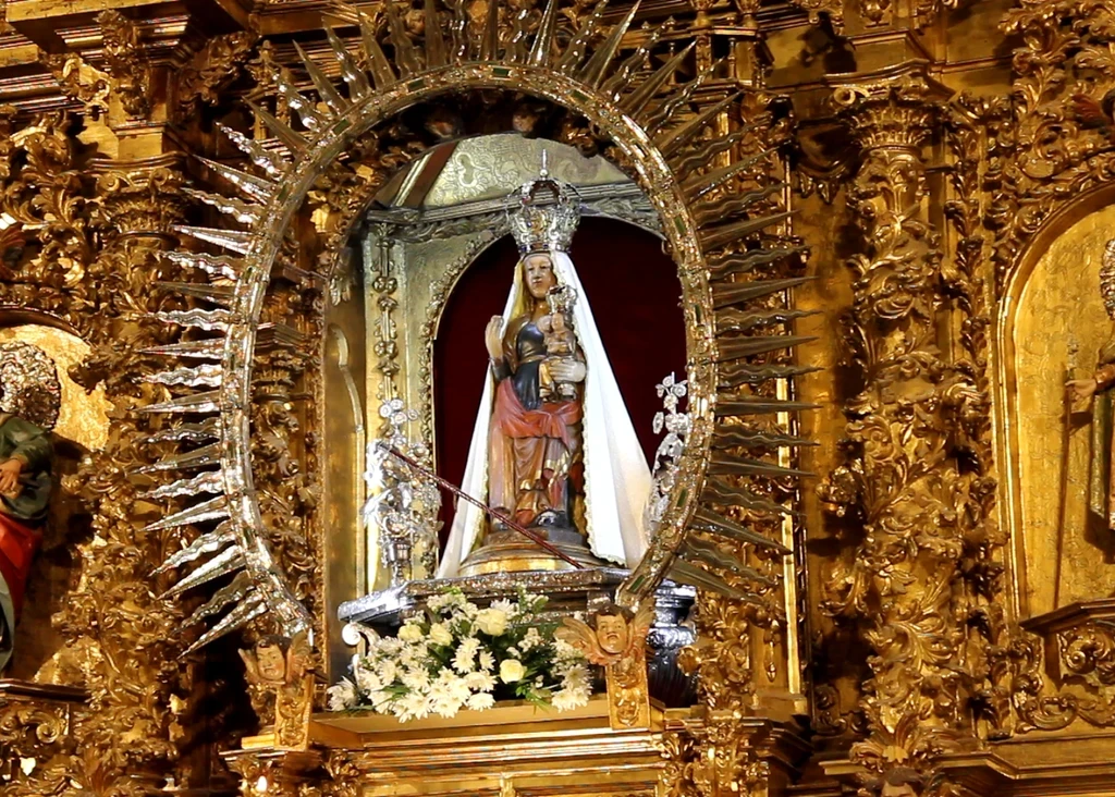 Imagen 23