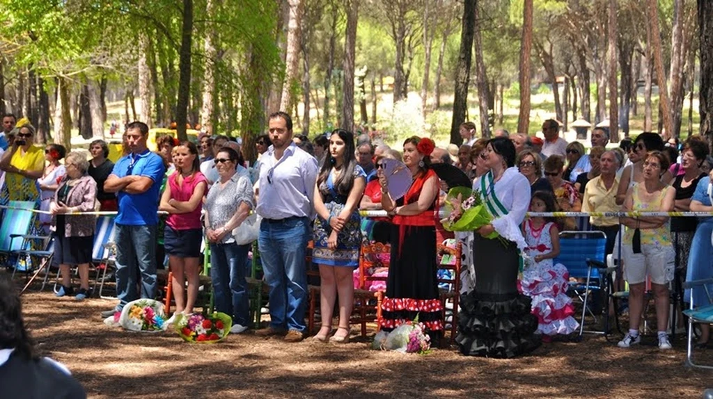 Imagen 11