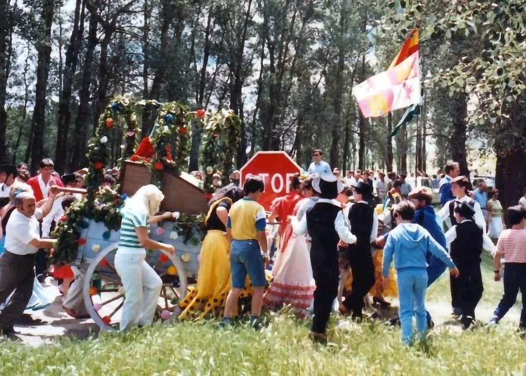 Imagen 5